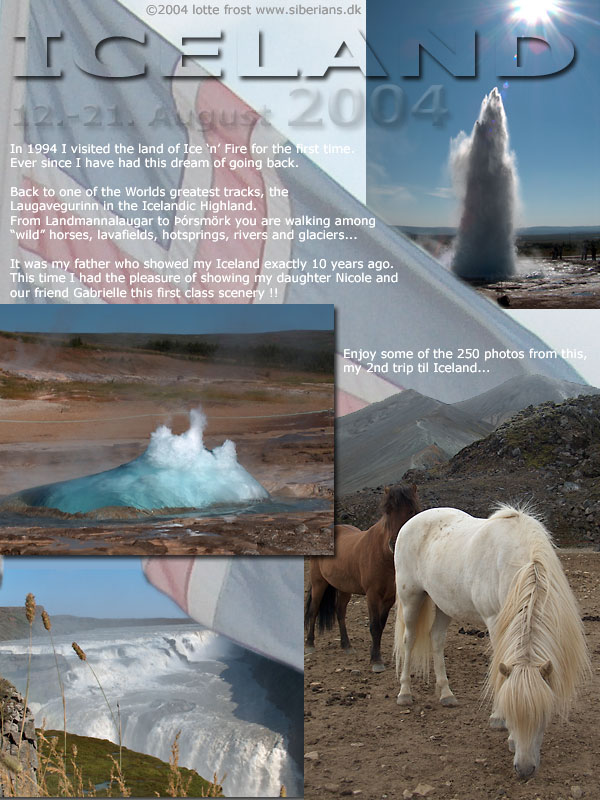 Iceland 2004 - a lot of photos coming up... please be patient!
